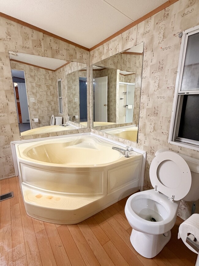 Photo - Vibrant Way # 3