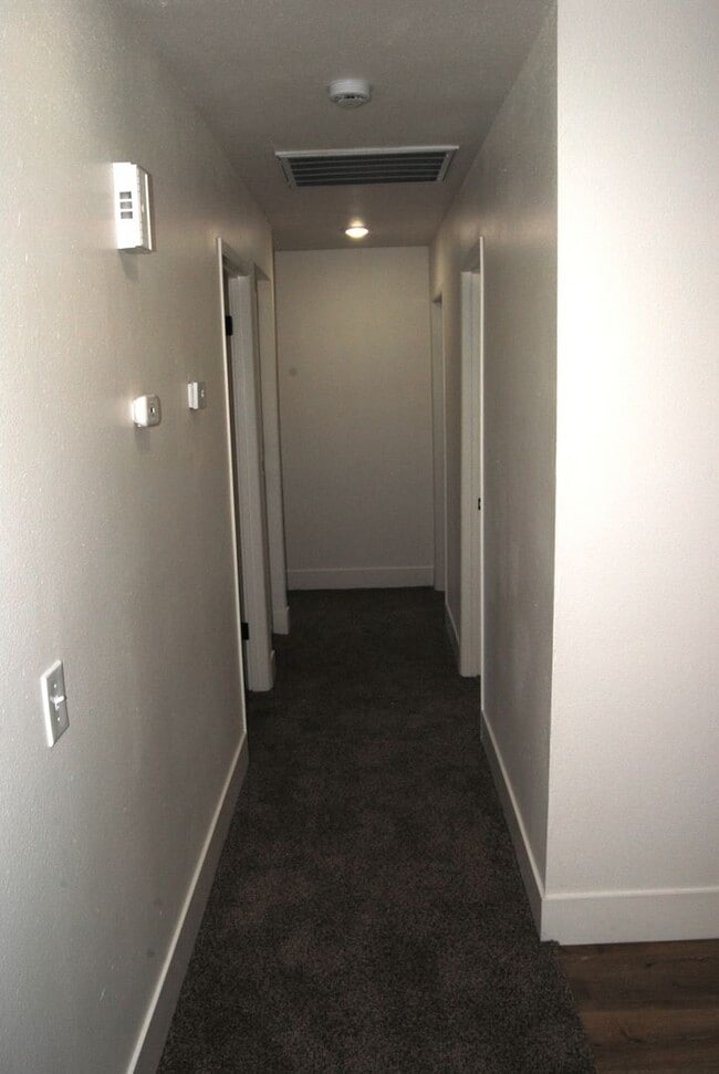 Photo - 2401 Bernice Ct