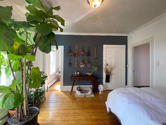 Photo - 496 Sumner St Unit 3