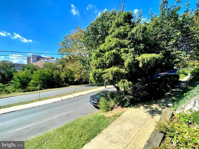 Photo - 1601 West St Unidad APARTMENT 1