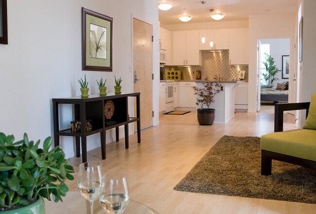 1 bedroom main area