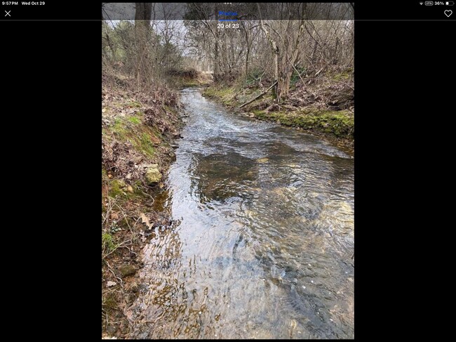 Photo - 26558 Martin Branch Rd