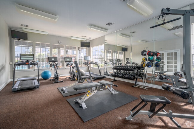 Gimnasio