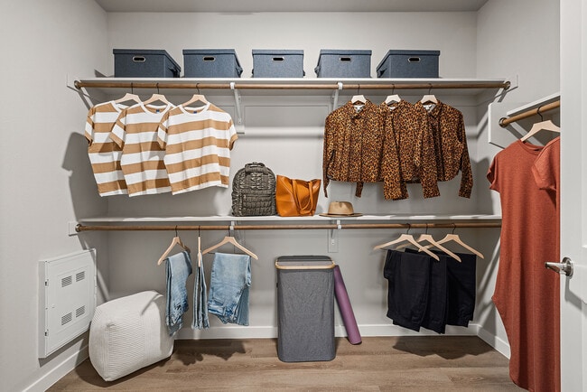 2BR, 2BA - 1,225SF - Walk In Closet