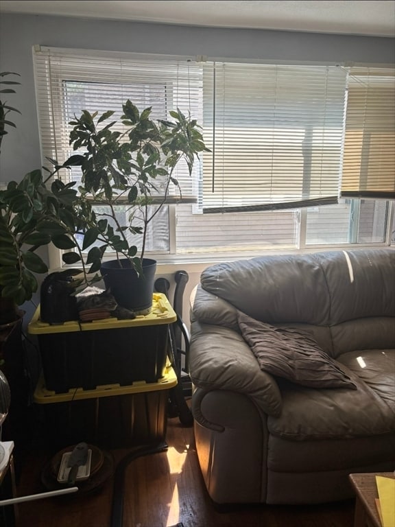47 Orlando St Unit 1