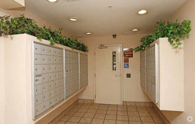 Atrium Garden Studios Apartments For Rent In San Jose Ca Forrent