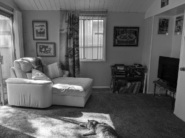 Building Photo - 5616 Riley St Rental