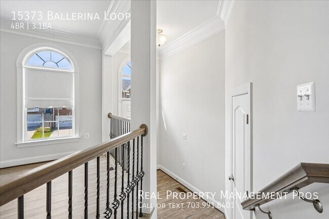 15373 Ballerina Lp