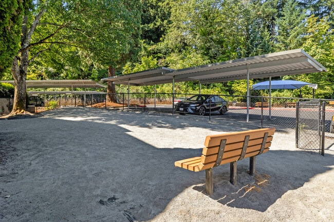 Dog Park
