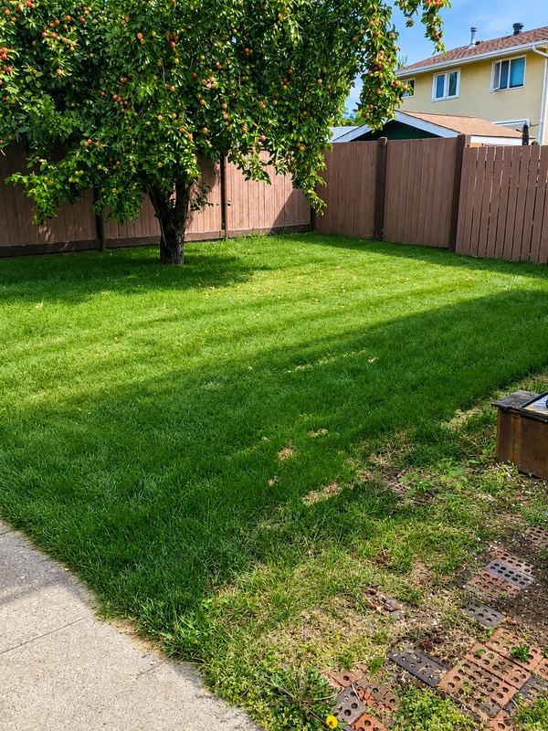 Photo - 116 Akins Dr