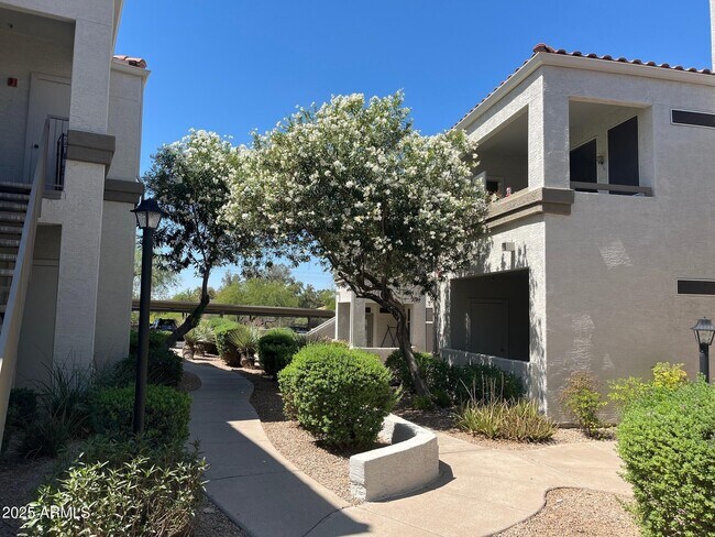 Building Photo - 11375 E Sahuaro Dr Unit 1040 Rental