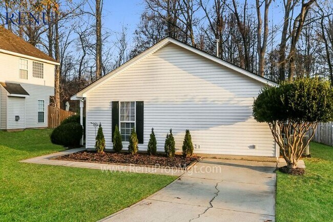 Photo - Available Now!