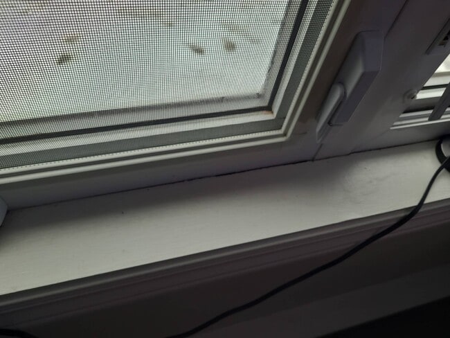 Building Photo - 6-126 Chem. Notre Dame de Lourdes Unit 6