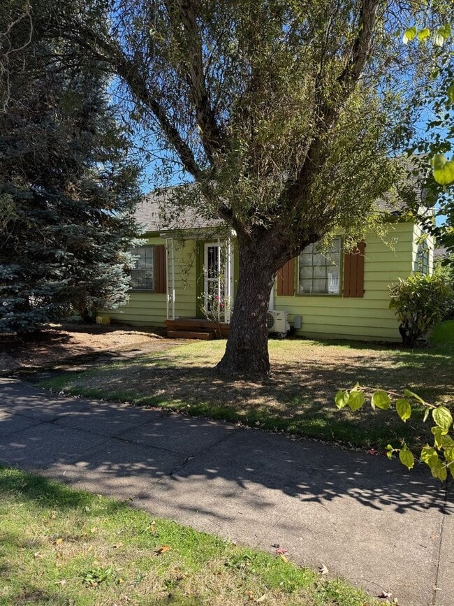 Photo - TIP TOP ON TYLER