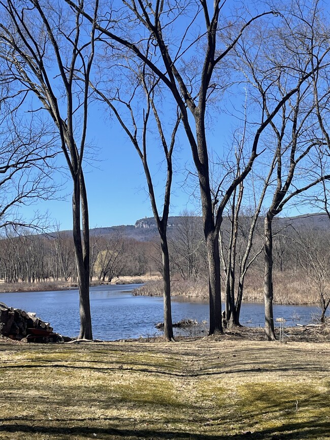 View from rear garden - 123 Huguenot St Unit Apartment in NewPaltz