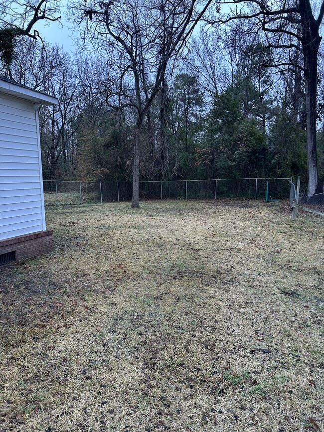 Photo - 520 Buckley St