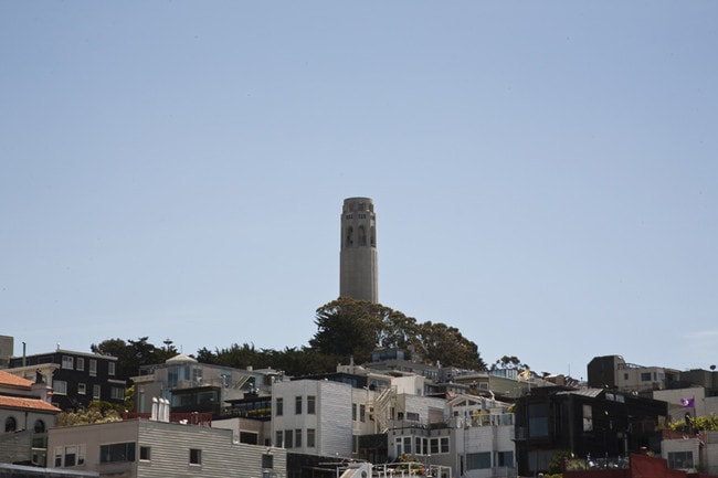 Photo - The Bay