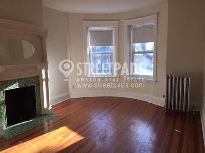 1 bedroom in Boston MA 02134 - 1 bedroom in Boston MA 02134 Rental