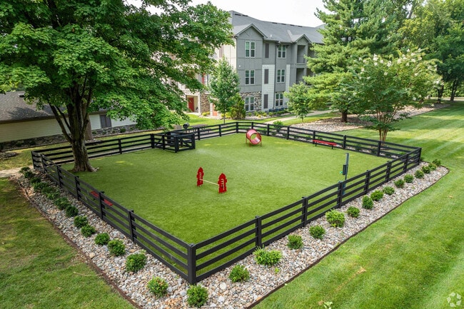 Your pet's paradise: explore the spacious, well-maintained dog park within our apartment community. - Springhouse