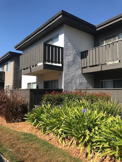 Photo - Oliva Apartments