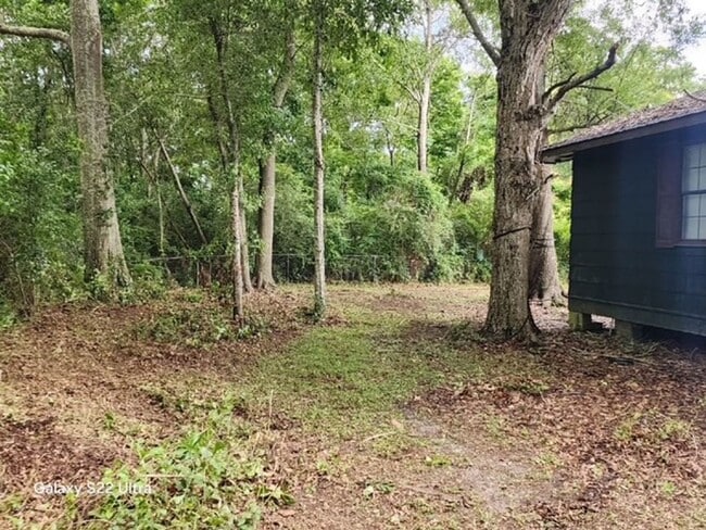 Photo - 356 Live Oak Ave