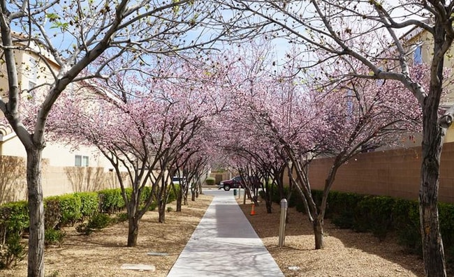 Photo - 8405 Lower Trailhead Ave