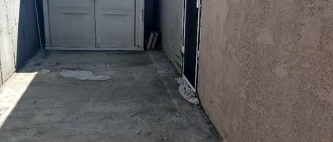 Photo - 11257 Cecilia St