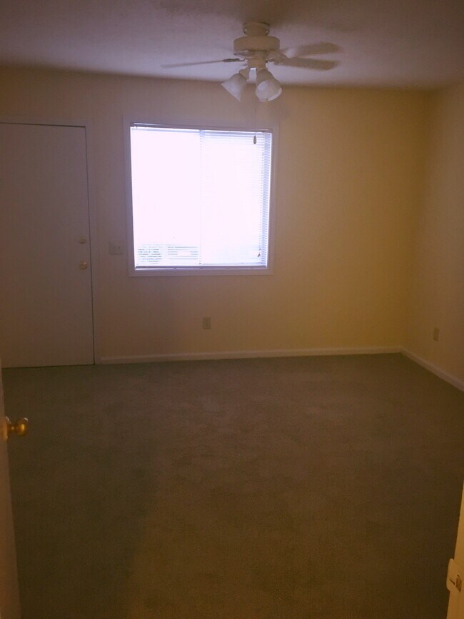 1 Bedroom - Bedroom