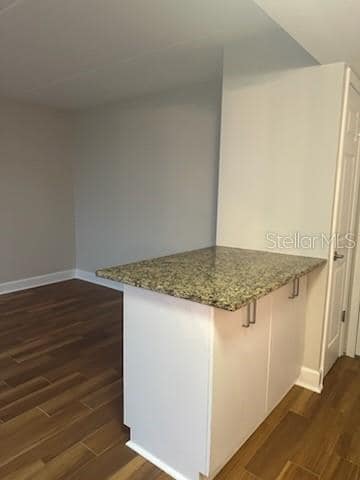 Photo - 3325 Bayshore Blvd Unit 1