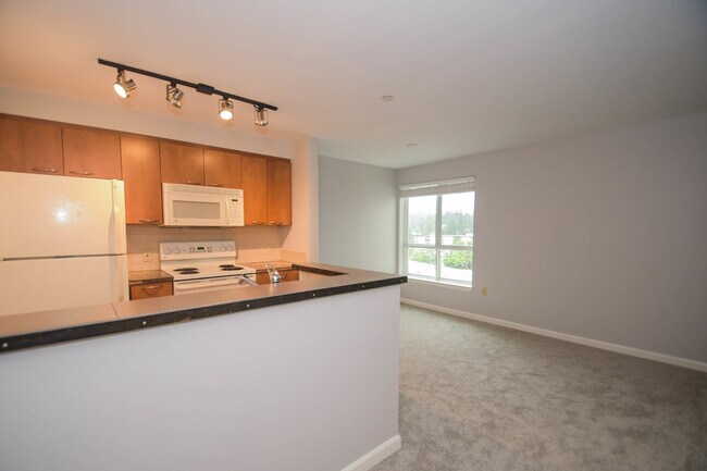 Photo - LIKE NEW, 1 BED, 1 BATH CONDO W HIGH END F... Unit 510