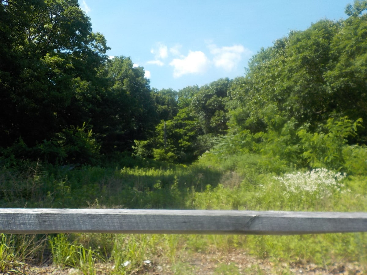 Land - Tip Top Cabins