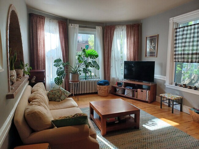 Photo - 15 Paul Gore St Unidad 2 Rental
