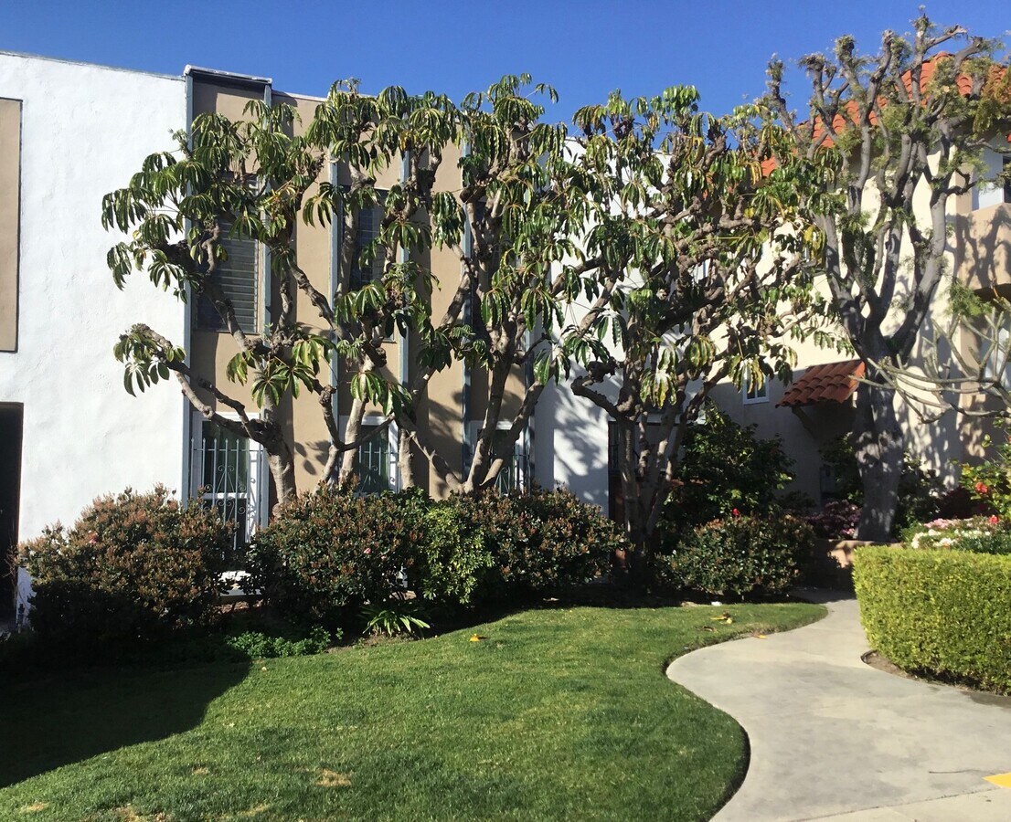 Photo - LARGE REMODELED UNITS WITH MANY AMMENITIES