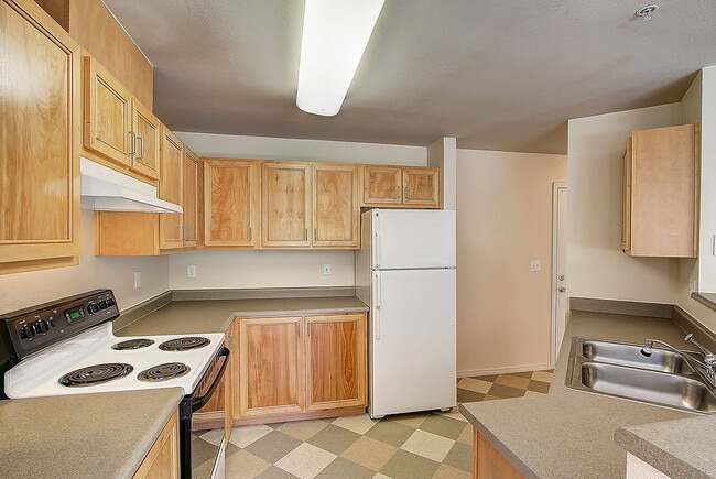 Photo - Salmon Run at Perry Creek