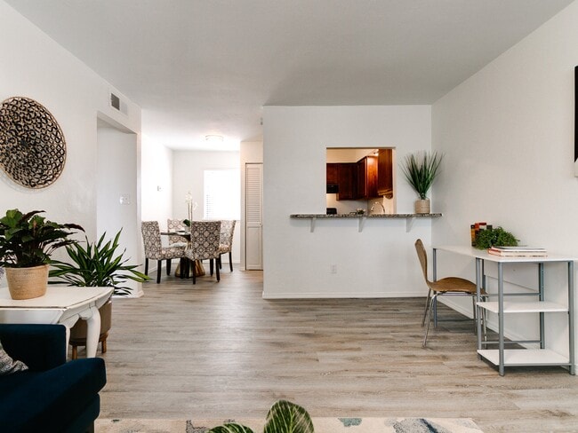 Oasis Apartments at Paseo