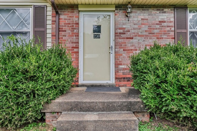 Photo - 230 Downer Dr