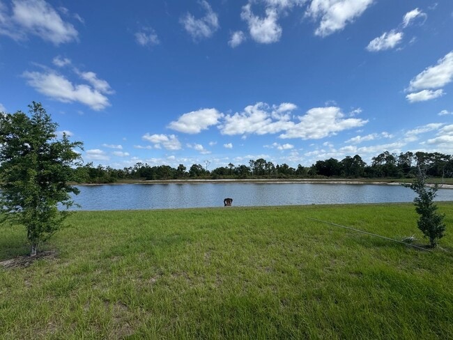 Photo - 1153 Oceanic Rd