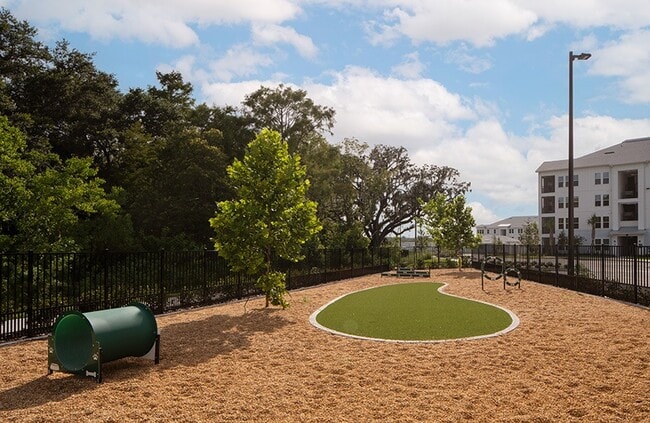 Origin at Shingle Creek