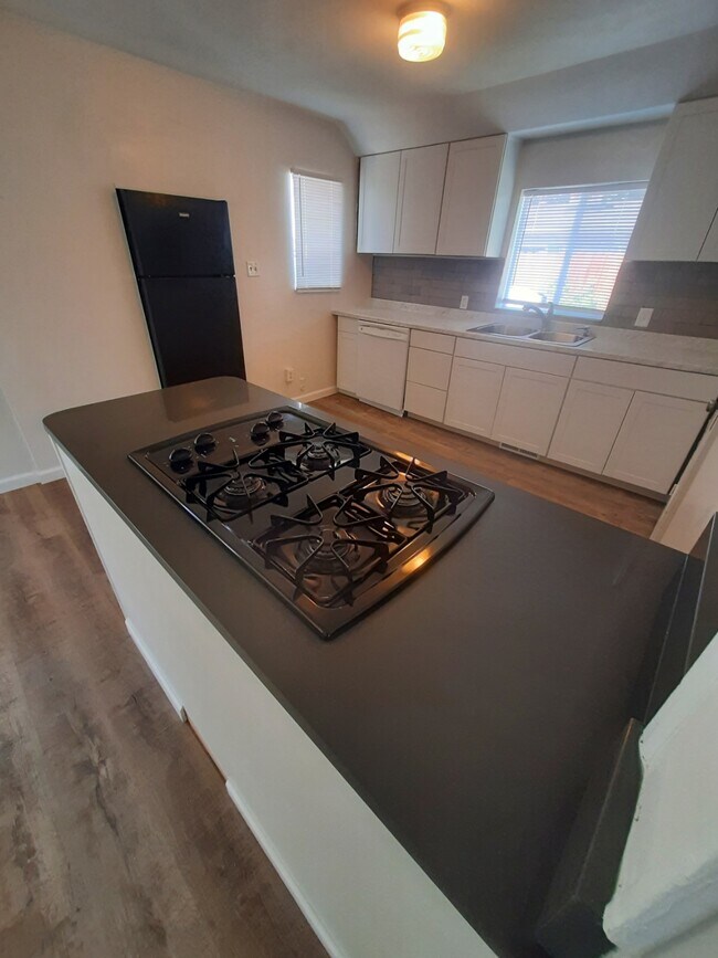 Kitchen/bar - 1132 Robinson Ave