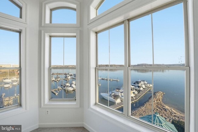 Photo - 500 Belmont Bay Dr Unidad 404