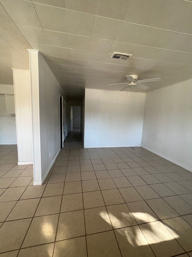 Photo - Swan Lake Cuttie...