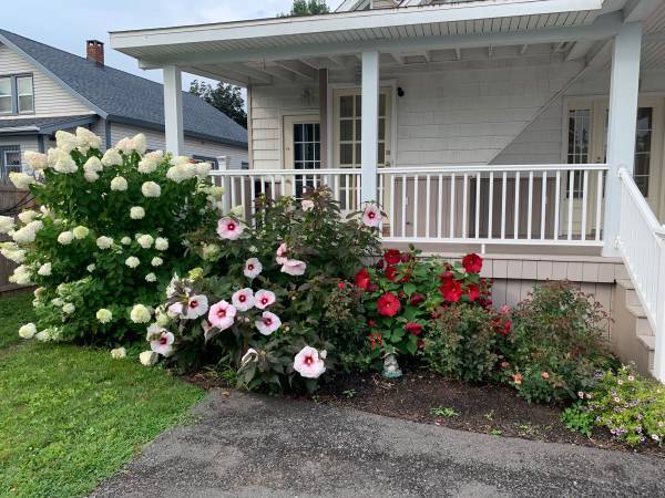 Building Photo - 1665 Central Ave Unit 2nd Floor