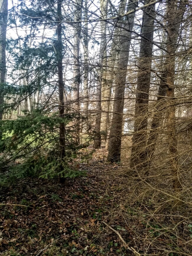 Photo - 16351 Petro Dr