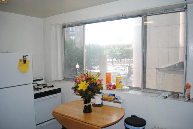 Building Photo - 248 W Newton St Unit 12