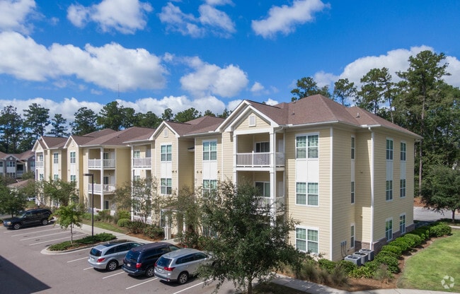 Arbor Village