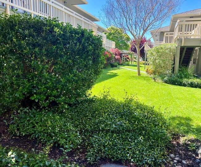 Photo - 720 Petaluma Blvd S Unit 10