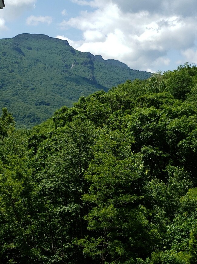 Photo - Live High Country. Live Elevated. Live Seven Devils.