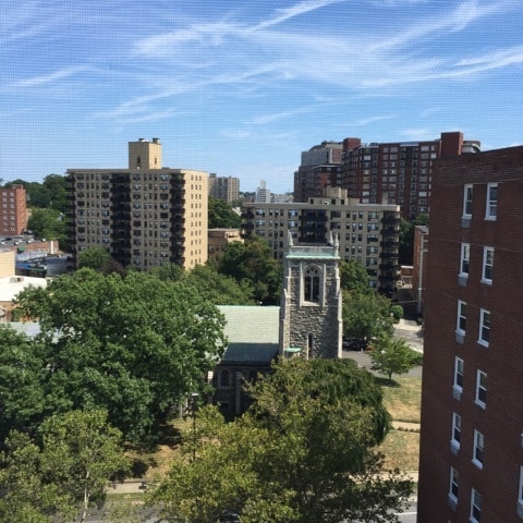Balcony view to the East - 444 Bedford Street Unit 9B