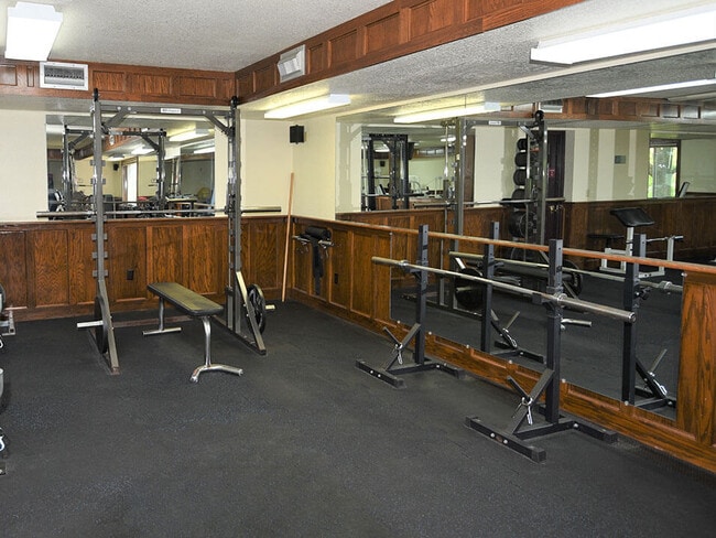Squat Rack & Bars at Your Convenience