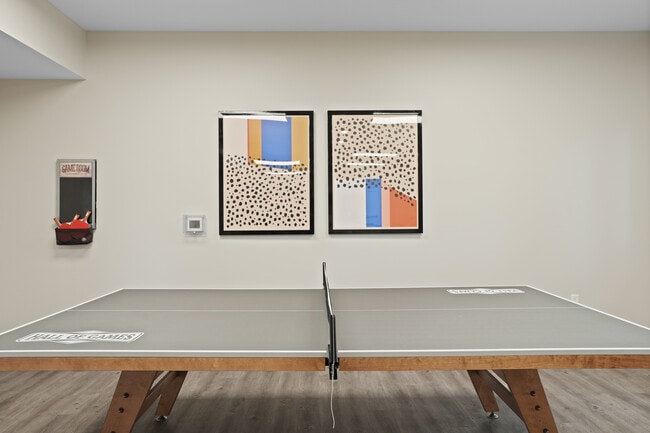 Ping Pong Table